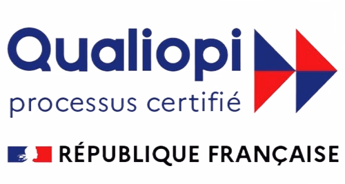 Qualiopi quality certification, Dev-id training organisation
